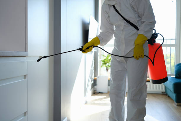 Marks, MS Mold Remediation Company
